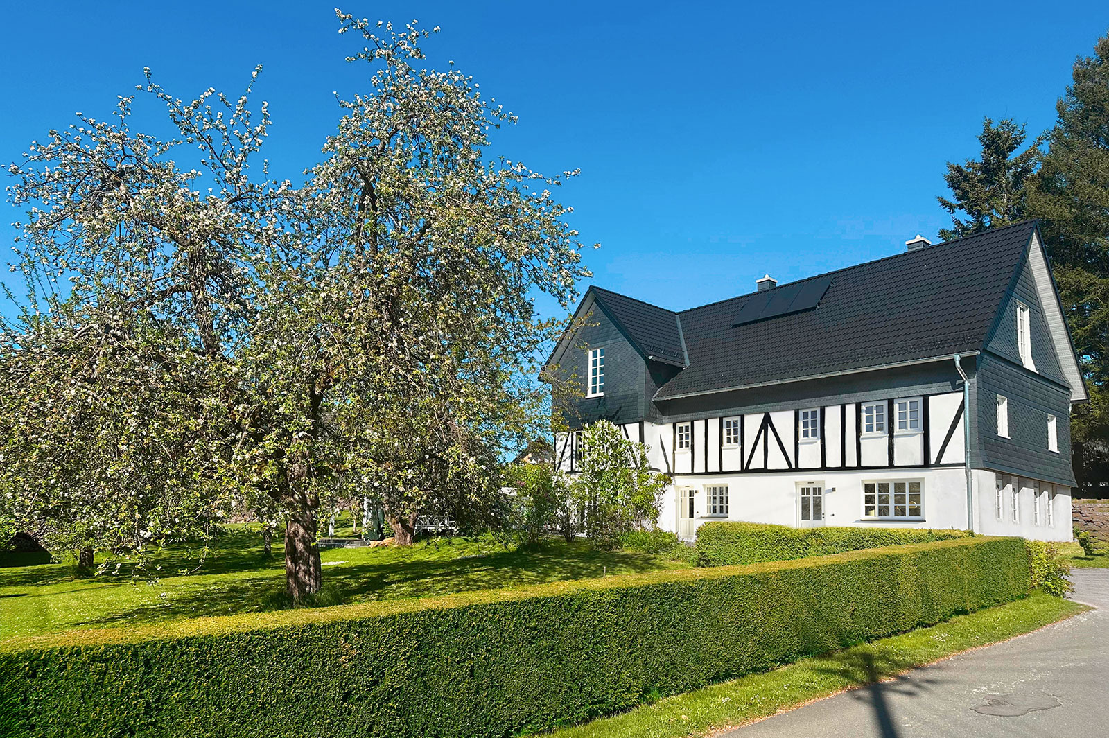 Blühender Apfelbaum in der Obstwiese vor dem Haus. Ferienwohnung Sauerland - Fachwerkhaus Eiben, Benolpe