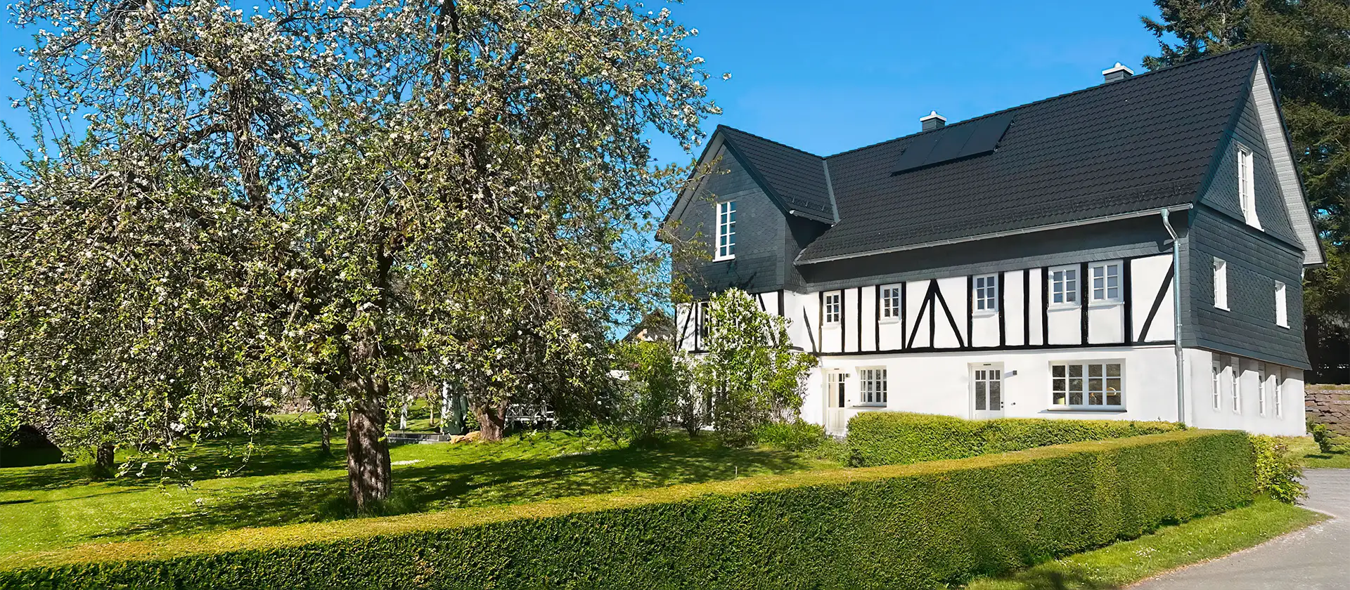 Eibens Fachwerkhaus mit blühenden Obstbaum im Frühling Blühender Apfelbaum in der Obstwiese vor dem Haus. Sauerland Ferienwohnung - Fachwerkhaus Eiben, Benolpe