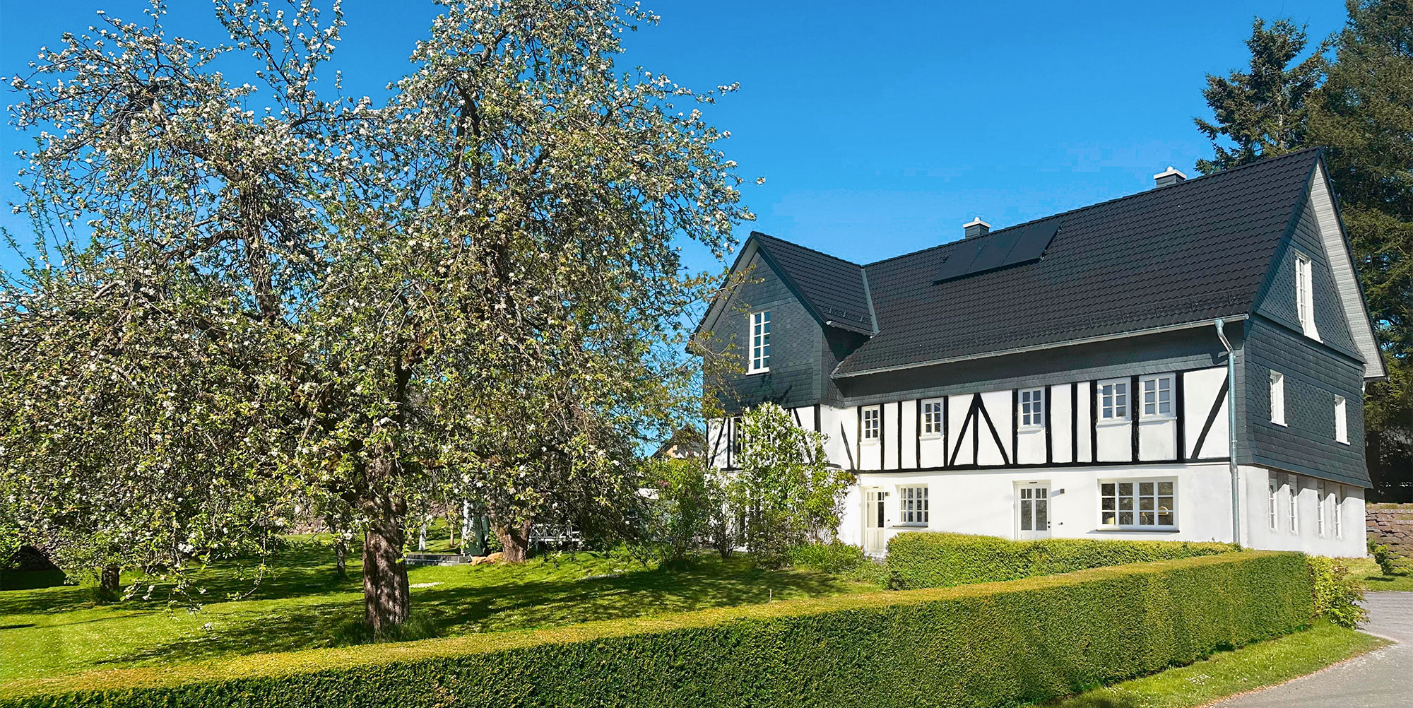Blühender Apfelbaum - Ferienhaus Fachwerkhaus Eiben, Benolpe