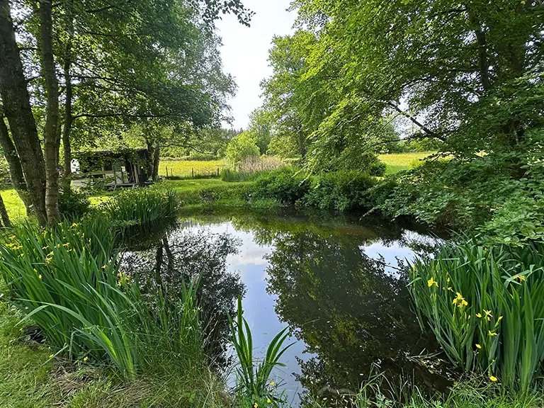 Fischteich umgeben von Bäumen im Frühjahr.