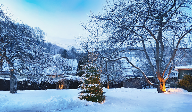 Garten im Schnee mit Weihnachtsbaum, Foto He Hack Google Maps