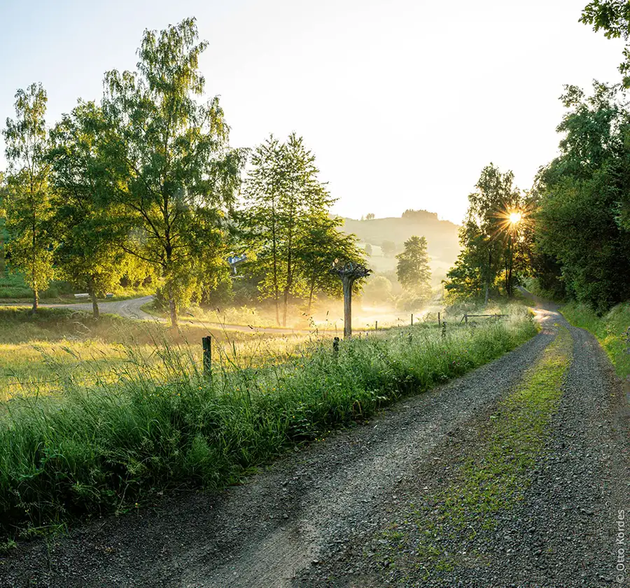 Morgensonne an einem Weg im sauerländischem Benolpe. Foto © Otto Kordes