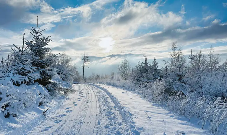 Schneelandschaft mit Loipen in der Nähe von Benolpe